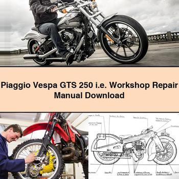 Piaggio Vespa GTS 250 I.e Service Repair Workshop Manual PDF