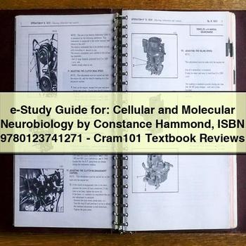 E-STUDY : Cellular Molecular Neurobiology Constance Hammond Isbn 9780123741271-cram101 Textbook Reviews Service Repair Workshop Manual PDF