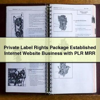 Package Established Internet Website Business with PLR MRR