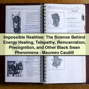 Impossible Realities: The Science Behind Energy Healing, Telepathy, Reincarnation, Precognition, and Other Black Swan Phenomena by Maureen Caudill
