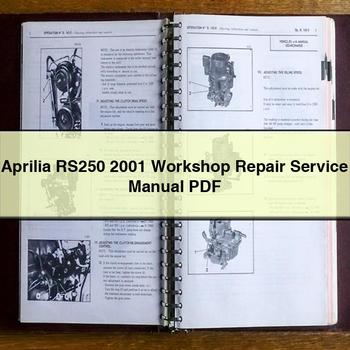 Aprilia RS250 2001 Workshop Repair Service Manual
