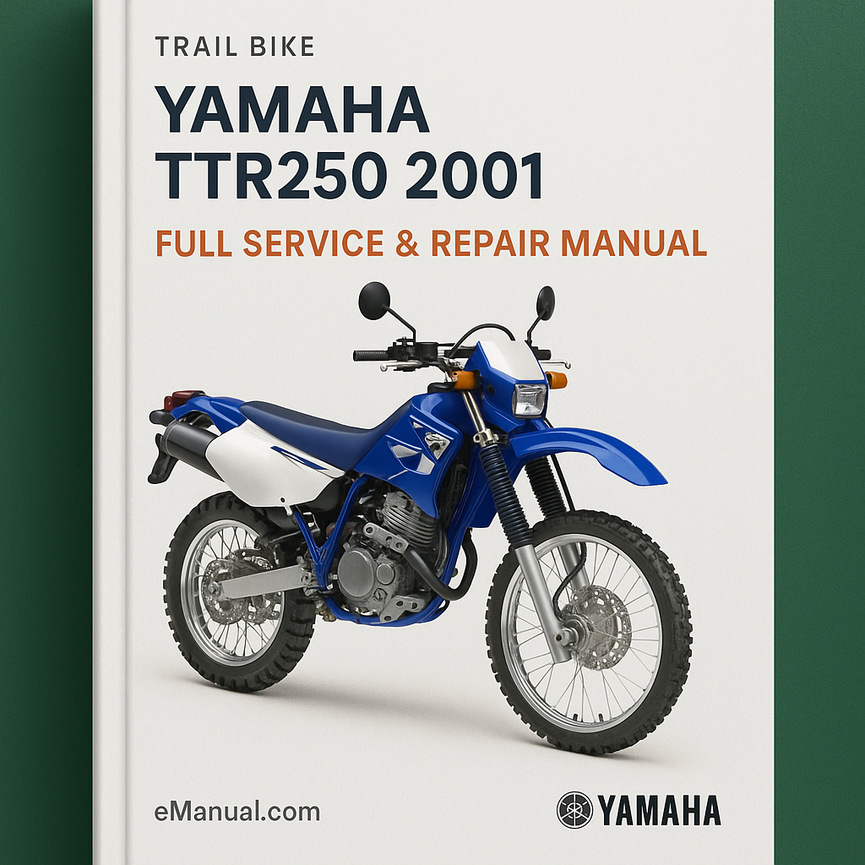 Yamaha TTR250 2001 Full Service Repair Manual