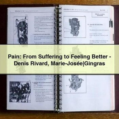 Pain: From Suffering to Feeling Better - Denis Rivard Marie-Josée - Gingras