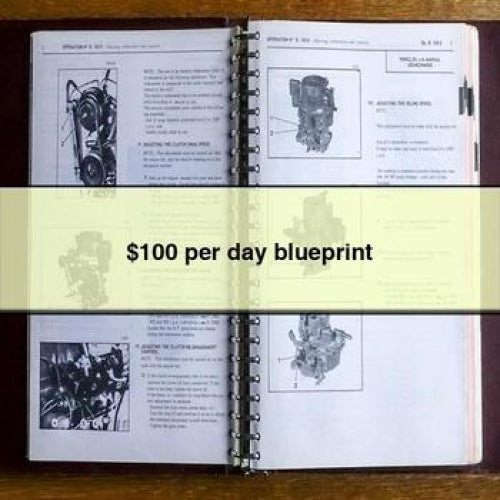 $100 Per Day Blueprint