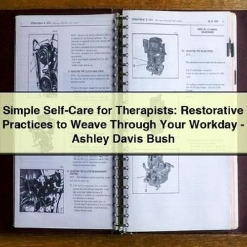 Simple Self-Care for Therapists: Restorative Practices to Weave Through Your Workday - Ashley Davis Bush