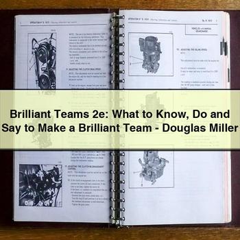 Brilliant Teams 2e: What to Know Do and Say to Make a Brilliant Team - Douglas Miller