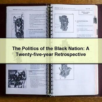 The Politics of the Black Nation: A Twenty-five-year Retrospective