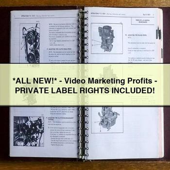 -video Marketing Profits-private Label Rights Included