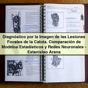 Diagnóstico por la Imagen de las Lesiones Focales de la Calota: Comparación de Modelos Estadísticos y Redes Neuronales by Estanislao Arana
