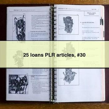 25 loans PLR articles #30