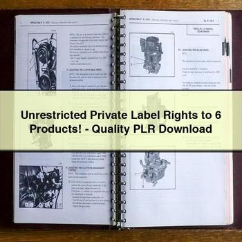 Unrestricted to 6 Products-Quality PLR