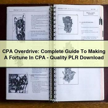 CPA Overdrive: Making Fortune Cpa-quality PLR Service Repair Workshop Manual PDF