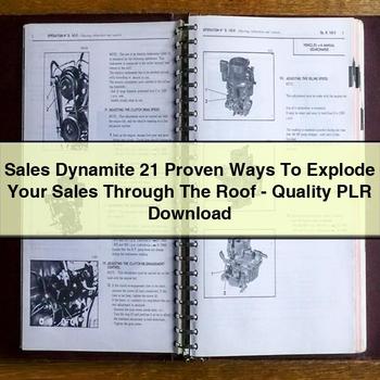 Sales Dynamite 21 Proven Ways To Explode Your Sales Through The Roof-Quality PLR