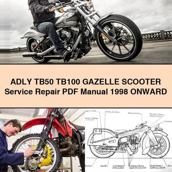 ADLY TB50 TB100 Gazelle Scooter Service Repair Manual 1998 Onward