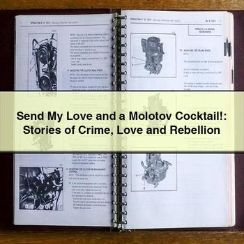 Send My Love and a Molotov Cocktail: Stories of Crime Love and Rebellion