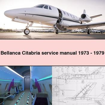 Manual de servicio Bellanca Citabria 1973 - 1979 Descargar PDF