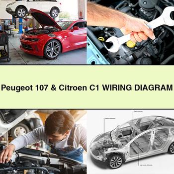 Peugeot 107 & Citroen C1 Wiring Diagram