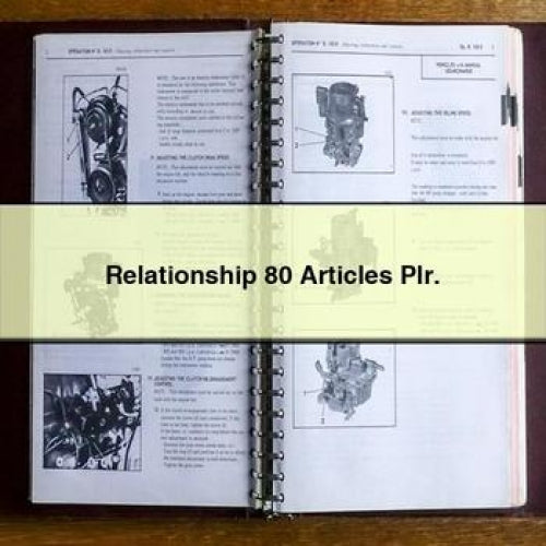 Relationship 80 Articles Plr.