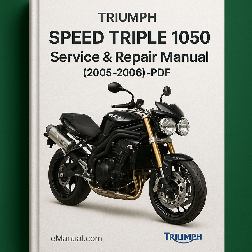 TRIUMPH SPEED TRIPLE 1050 Service & Repair Manual (2005 2006)-PDF