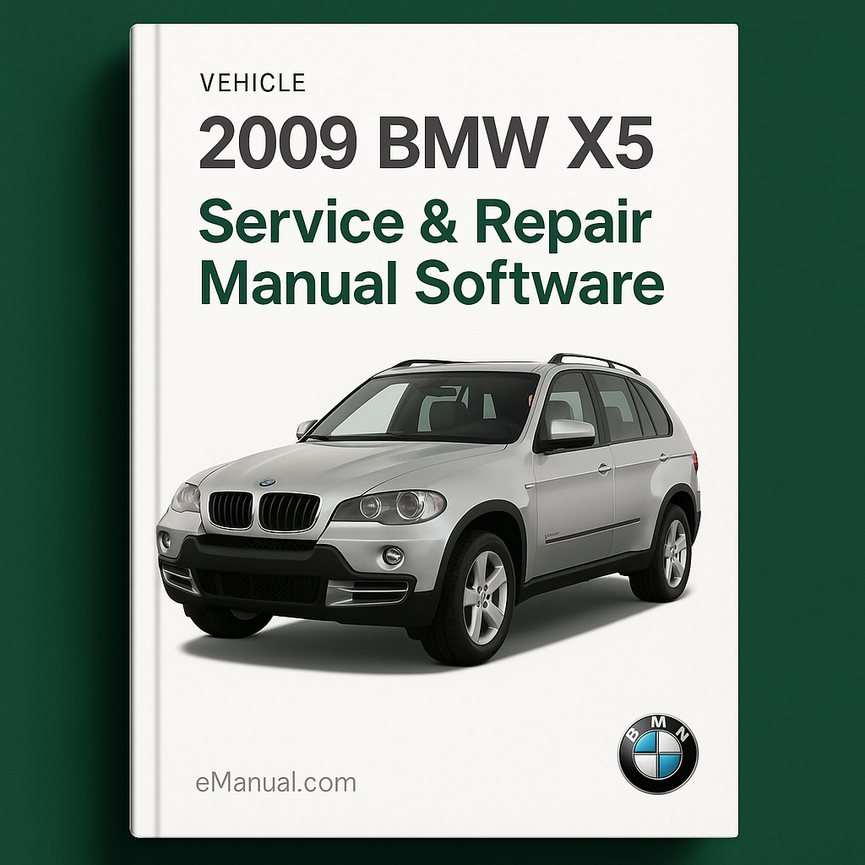 2009 BMW X5 Service & Repair Manual Software