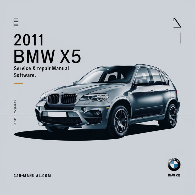 2011 BMW X5 Service & Repair Manual Software