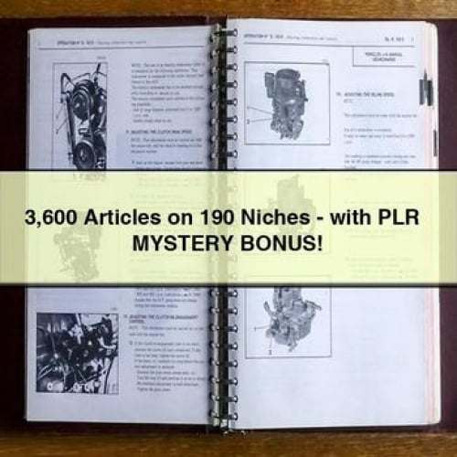 3 600 Articles on 190 Niches - with PLR + MYSTERY BONUS