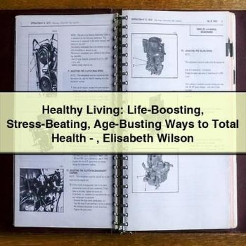 Healthy Living: Life-Boosting Stress-Beating Age-Busting Ways to Total Health - Elisabeth Wilson