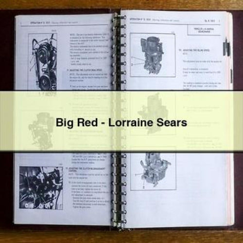 Big Red - Lorraine Sears