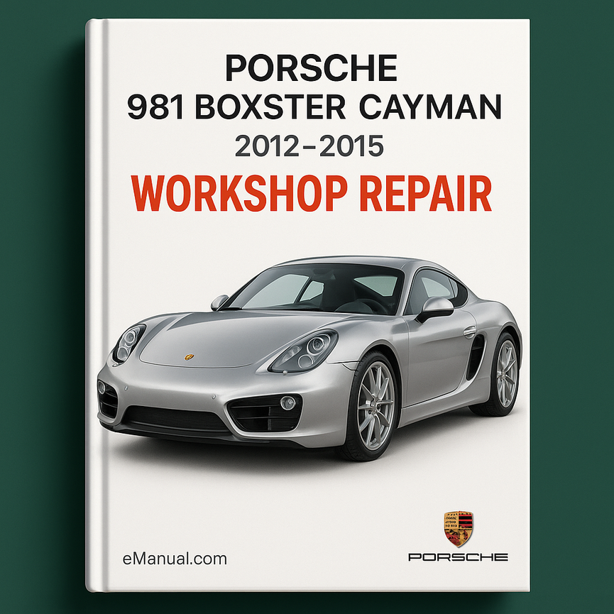 Porsche 981 Boxter Cayman 2012-2015 Workshop Repair