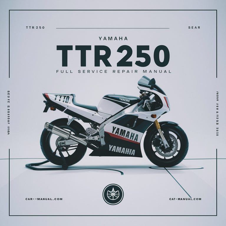 Yamaha TTR250 2001 Full Service Repair Manual