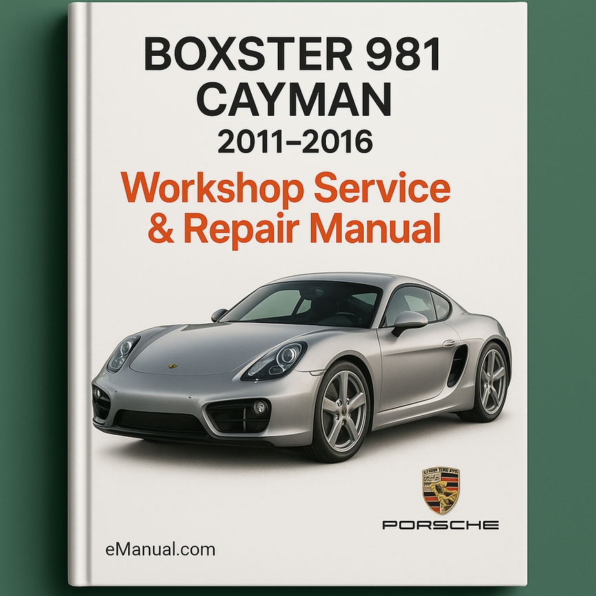 BOXSTER 981 CAYMAN 2011-2016 Workshop Service Repair Manual