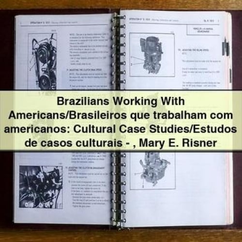 Brazilians Working With Americans/Brasileiros que trabalham com americanos: Cultural Case Studies/Estudos de casos culturais - Mary E. Risner