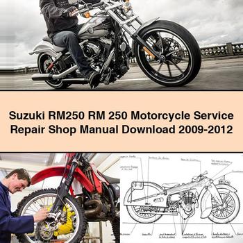 Suzuki RM250 RM 250 Motorcycle Service Repair Shop Manual 2009-2012