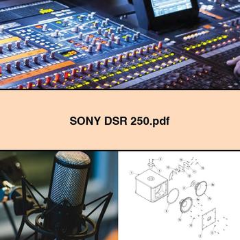 SONY DSR 250