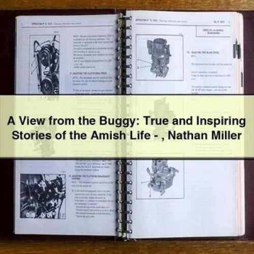 A View from the Buggy: True and Inspiring Stories of the Amish Life - Nathan Miller