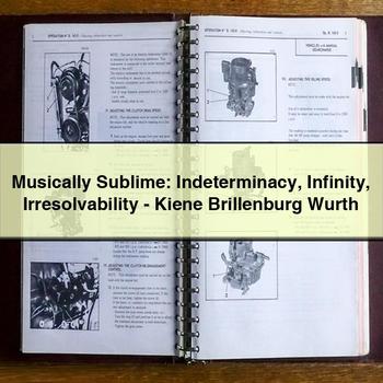 Musically Sublime: Indeterminacy Infinity Irresolvability - Kiene Brillenburg Wurth